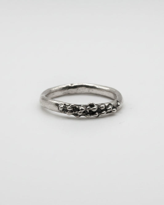 Silver ring with small stones on a white background