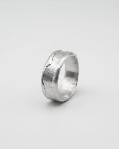 Silver ring on a white background